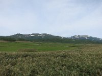 IMG 7759