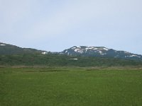 IMG 7768
