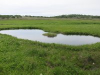 IMG 7769