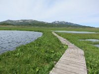 IMG 7774