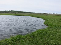 IMG 7775