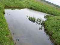 IMG 7776