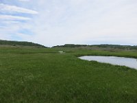 IMG 7779