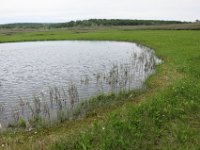 IMG 7782
