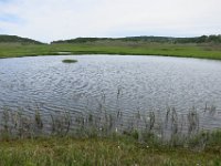 IMG 7783