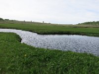 IMG 7786