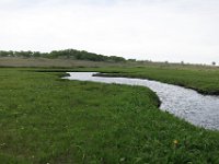 IMG 7787