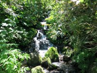 IMG 7838