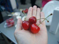 DSC09095