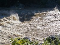 DSC09698