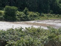 DSC09896