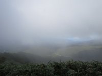 IMG 2156