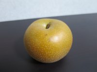 IMG 2433