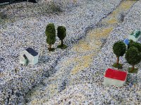 IMG 2462