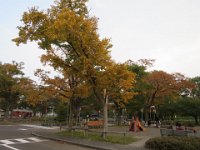 IMG 3660