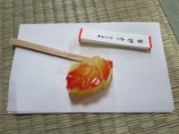 IMG 3933