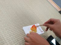 IMG 3934