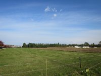 IMG 3945