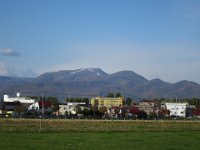 IMG 3948