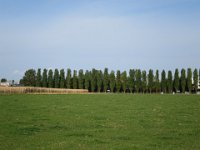 IMG 3950