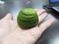 IMG 3955