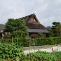IMG 4047