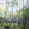 IMG 4054