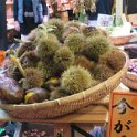 IMG 4077