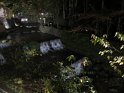 IMG 4096