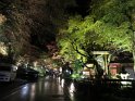 IMG 4098