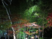 IMG 4104