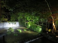 IMG 4105