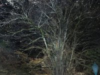 IMG 4124