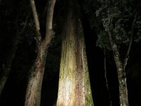 IMG 4139