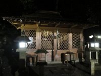 IMG 4142