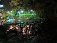IMG 4145