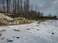 IMG 4317
