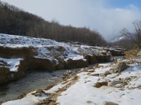 IMG 4343