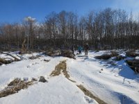 IMG 4385