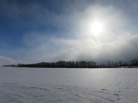 IMG 4386
