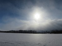 IMG 4387