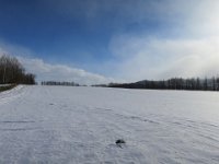 IMG 4388