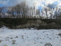 IMG 4417