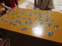 IMG 4452