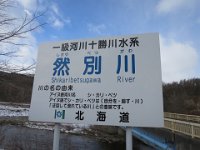 IMG 4474