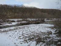IMG 4475