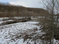 IMG 4476