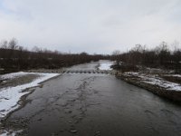 IMG 4486
