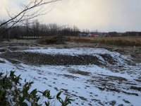 IMG 4555