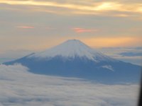 IMG 5111
